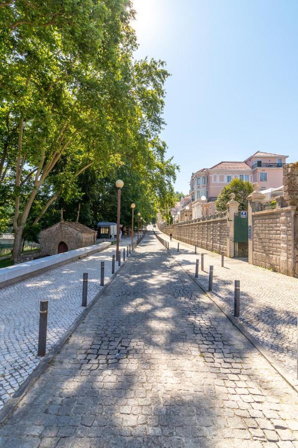 Casa Da Ponte Velha Leilighet Termas de Sao Pedro do Sul Eksteriør bilde