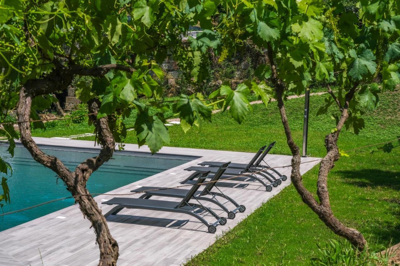 Casa Da Ponte Velha Leilighet Termas de Sao Pedro do Sul Eksteriør bilde